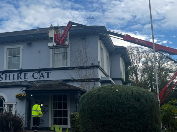 Cheshire Cat Pub
